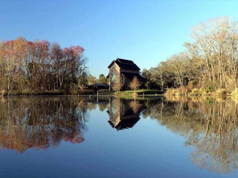 Lake Alice - UF Campus