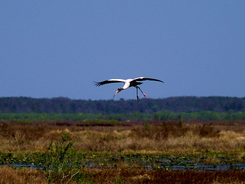 Cleared for landing - 3