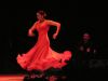 Flamenco 1