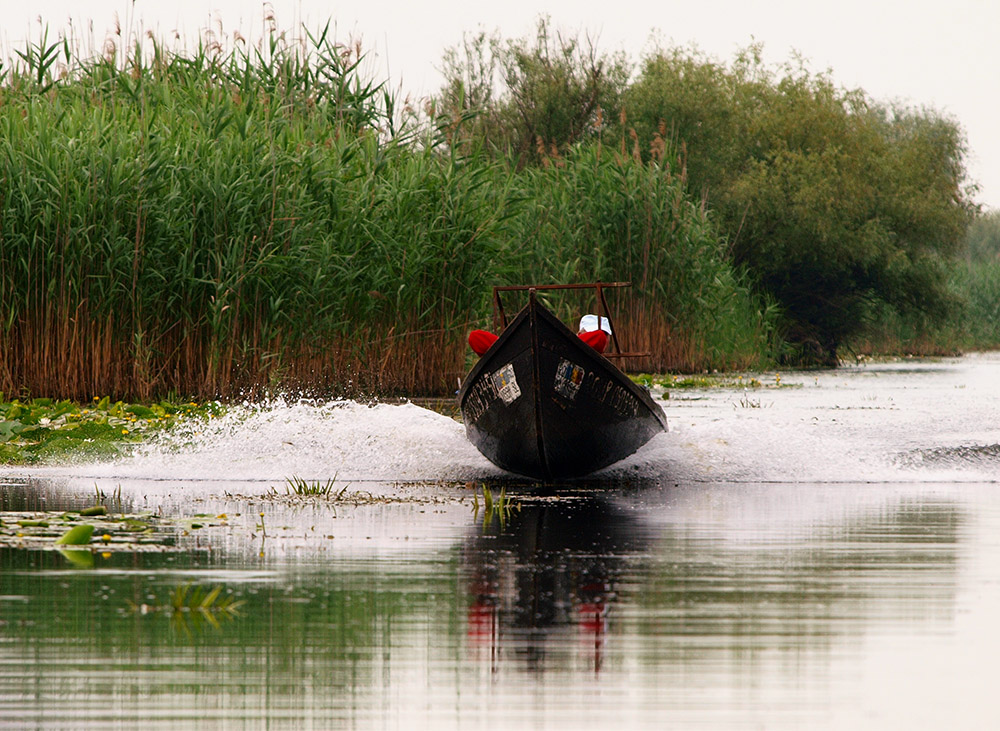 Inside the Danube Delta