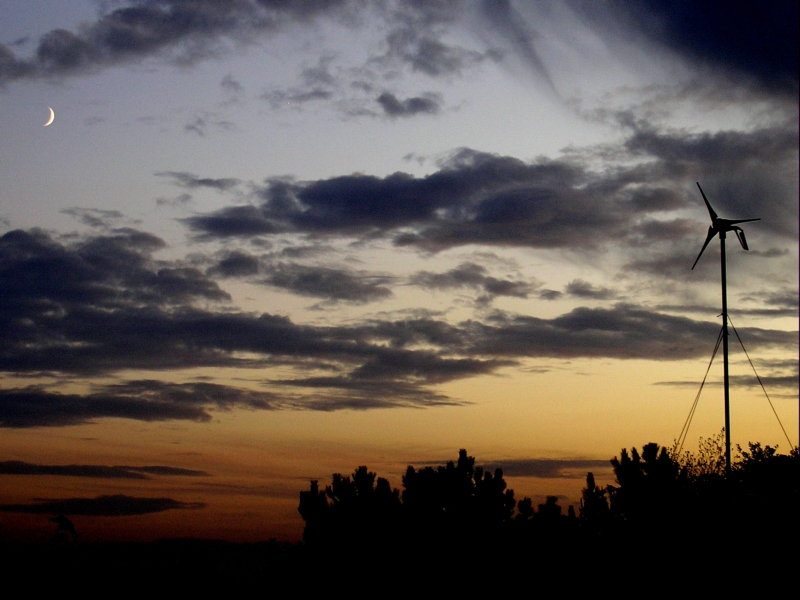 Wind & Moon