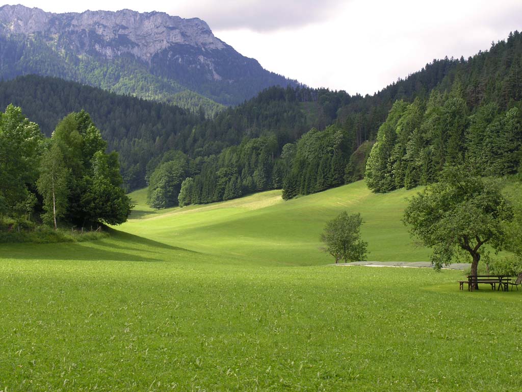 Little Valley
