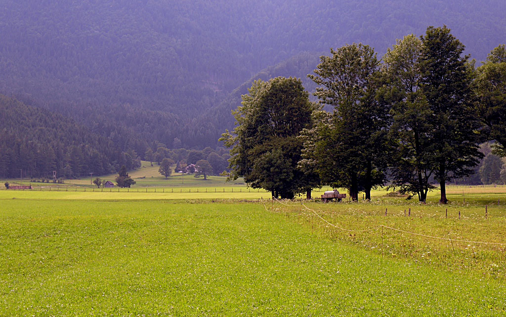 Countryside in early evening