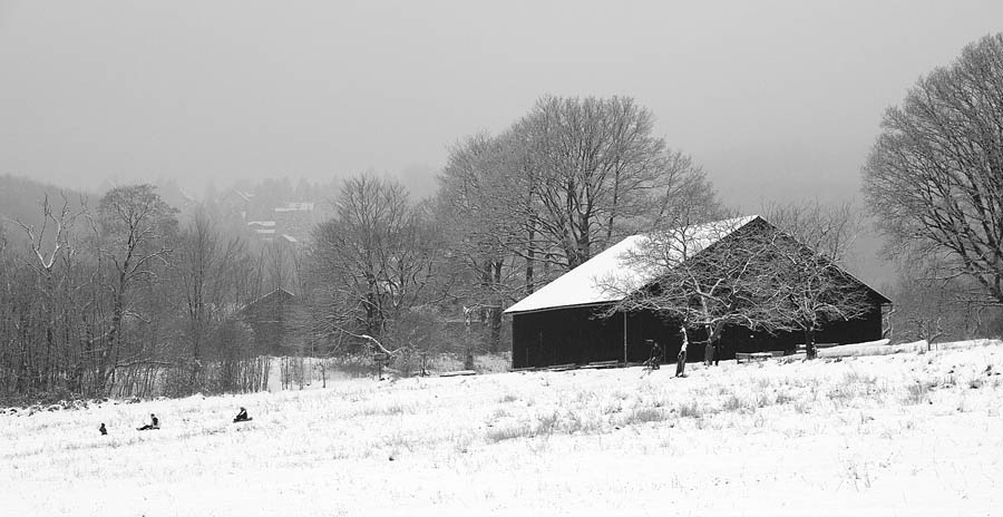 First Snow