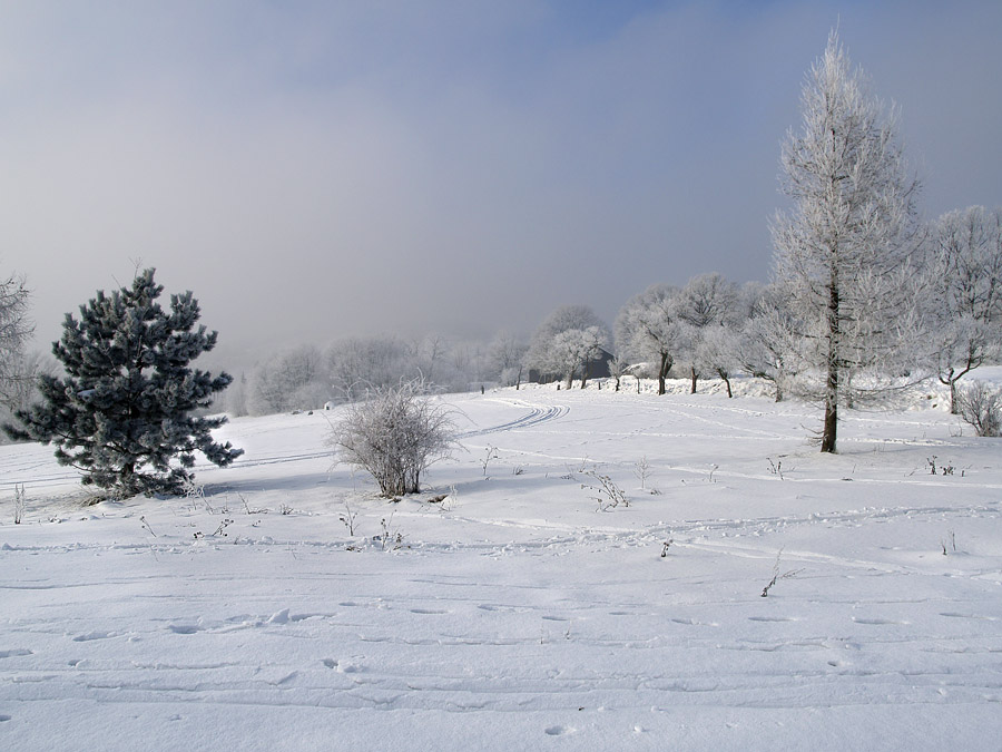 Fog and Frost