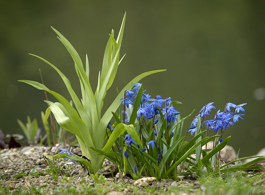 Under the light Under the light