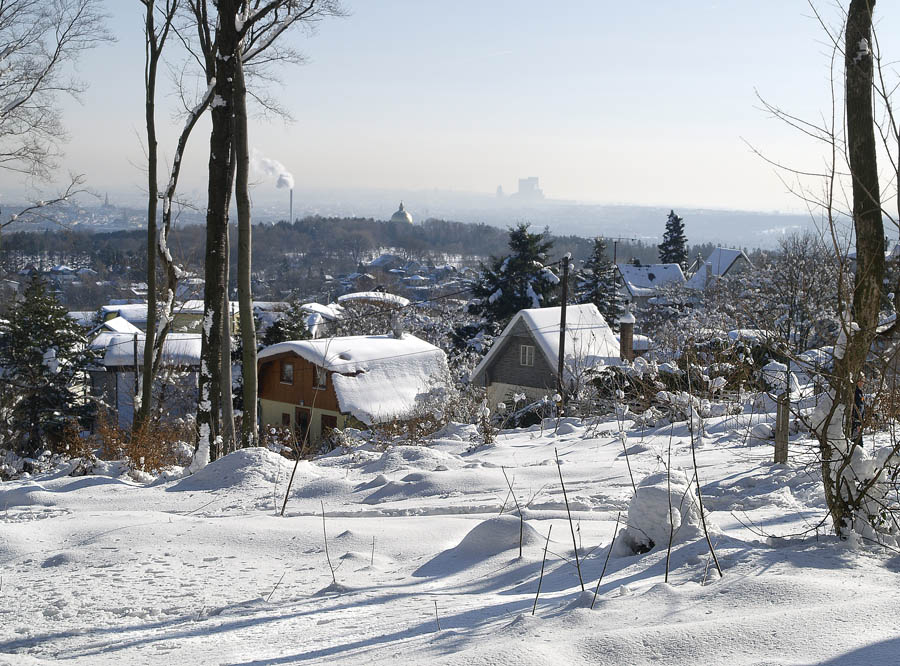 Summer houses in the western outskirts of Vienna