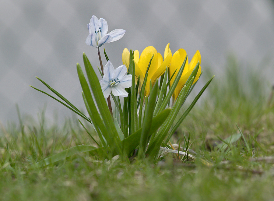 Spring is here