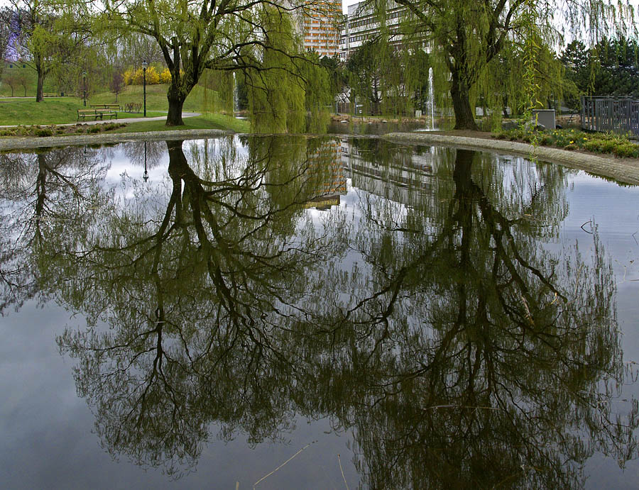 Reflections (2)
