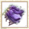 Bloem-studie 2