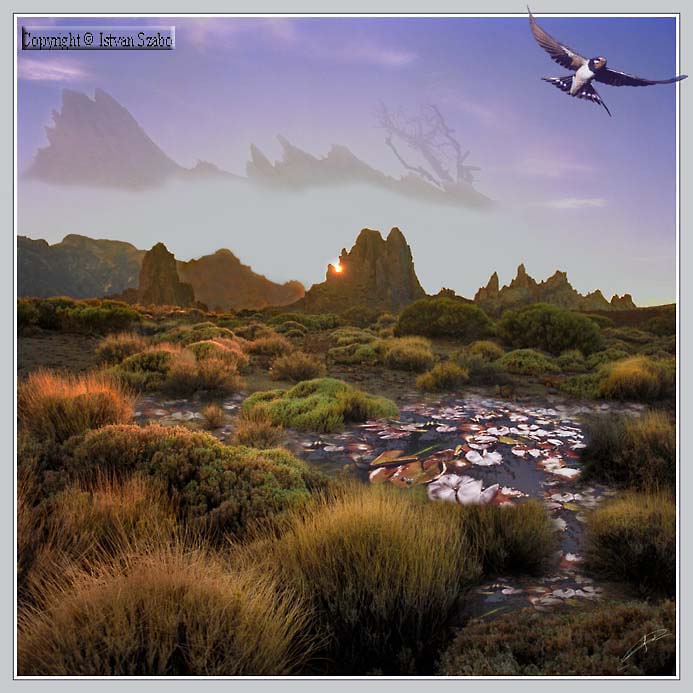 Mythic Landscape
