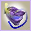 Bloem-studie 1