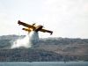 Canadair Water Bomber