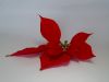 Poinsettia leaves