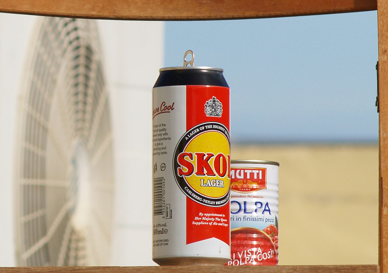 Skol Lager
