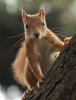 I'm Watchin U by Tony Wright