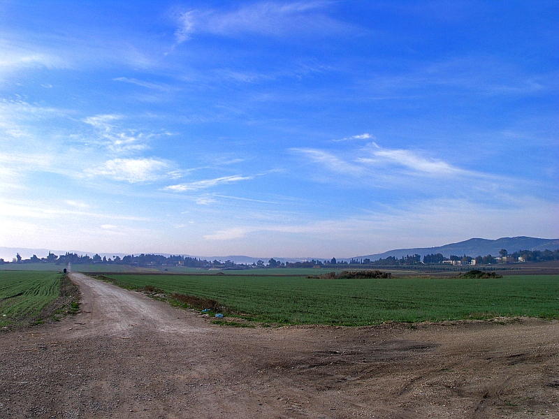 blue sky