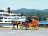 Horse and Buggy by Bobby Demarco
