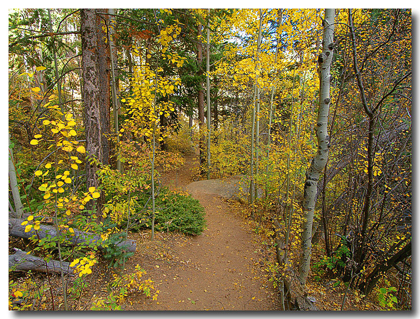 Fall Hiking...