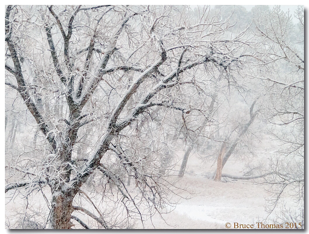 The Winter Blahs...