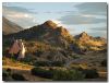 Big Horn Sheep Country