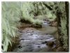 A Bend in the Stream.. by Bruce Thomas