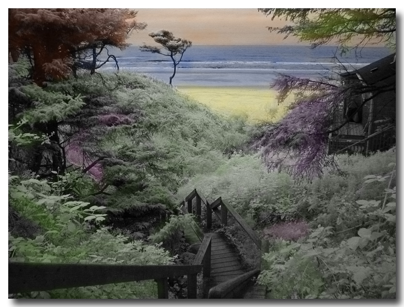 Staircase to the sea, Cannon Beach, Oregon...