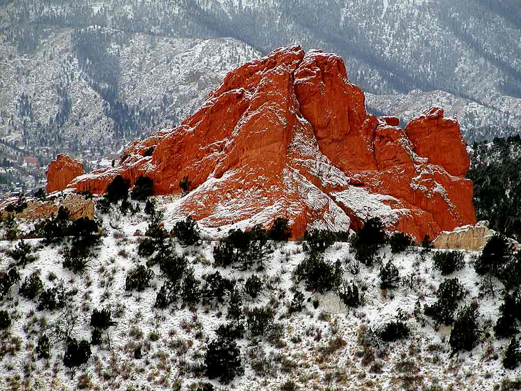 Dreamsicle Scenic!!