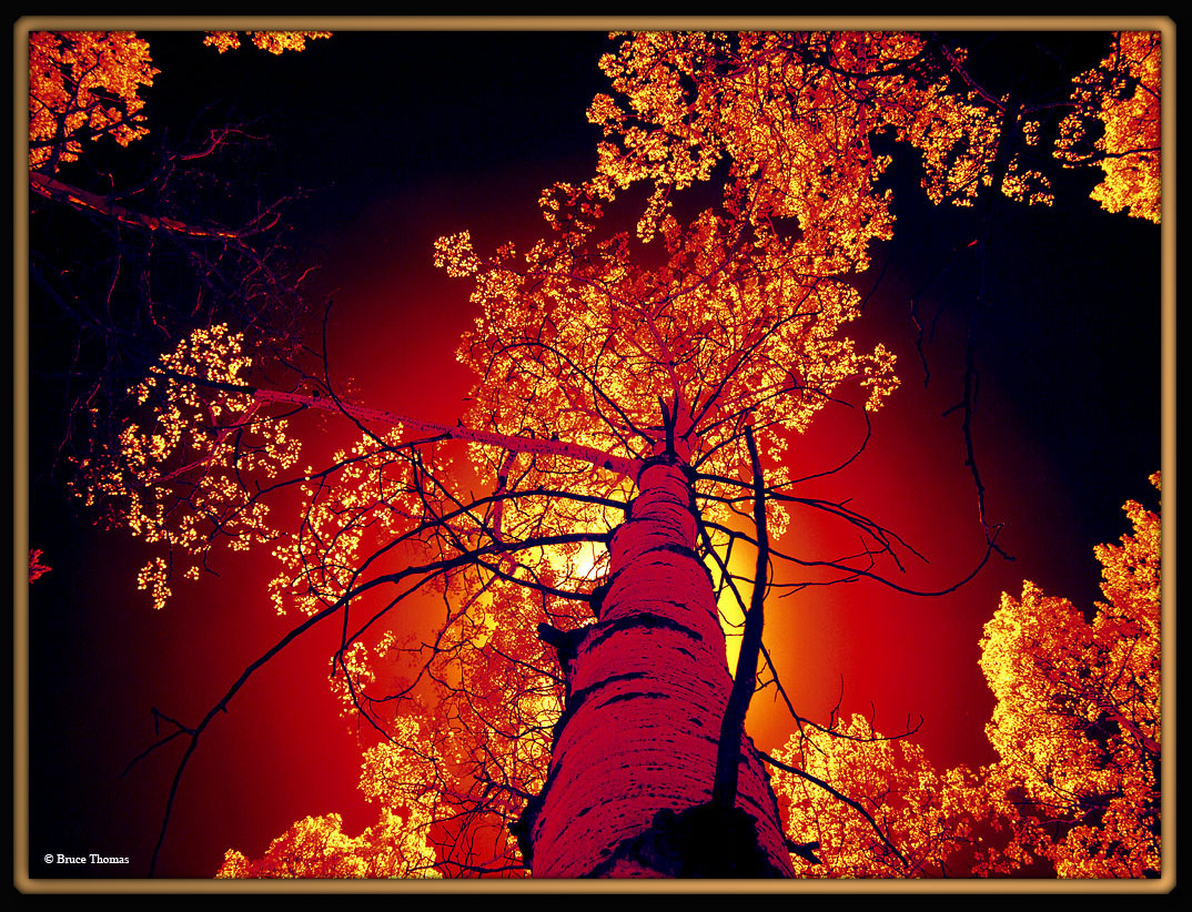 Seeing Red...