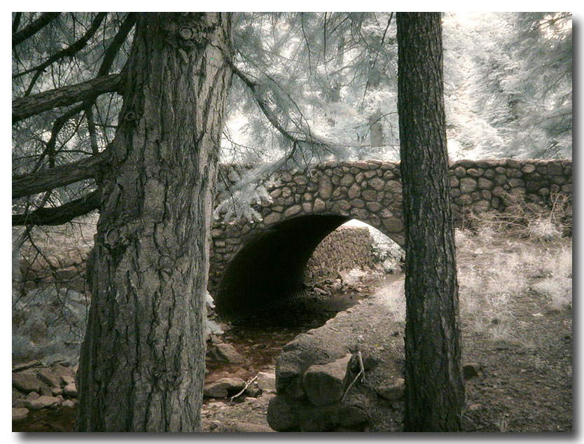In The Dell, Beyond The Bridge...