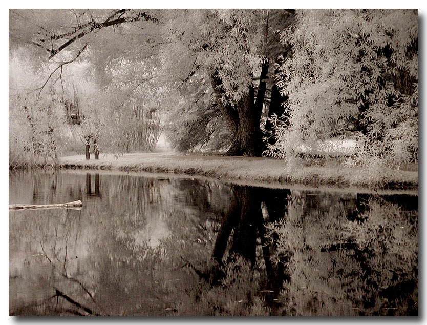 Perfectly Still...