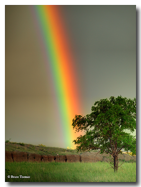 Somewhere over the...