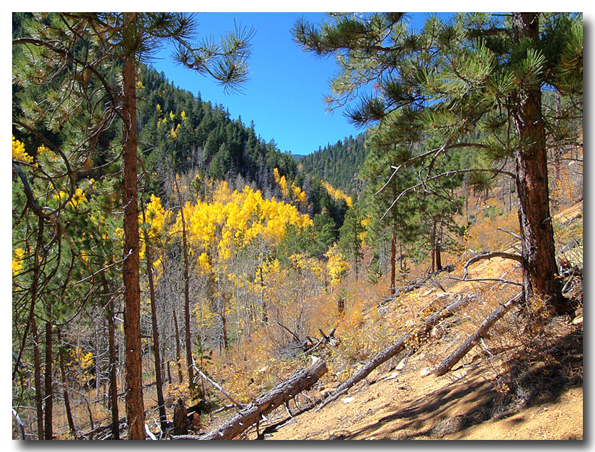 Let's go for a hike...
