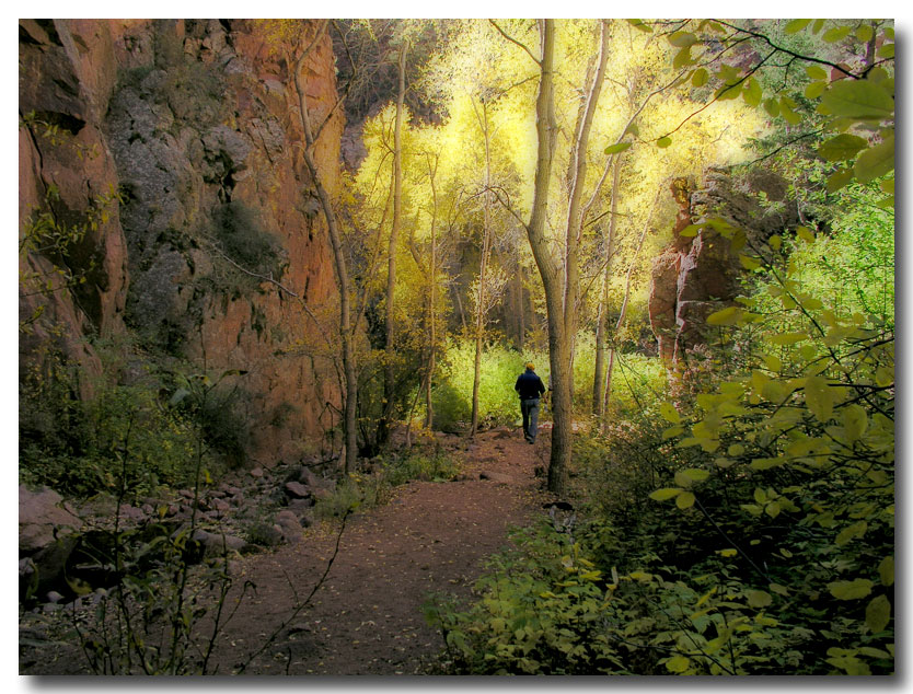 The General's trail in Autum...