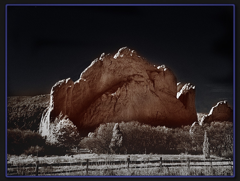 The Garden By Moonlight...