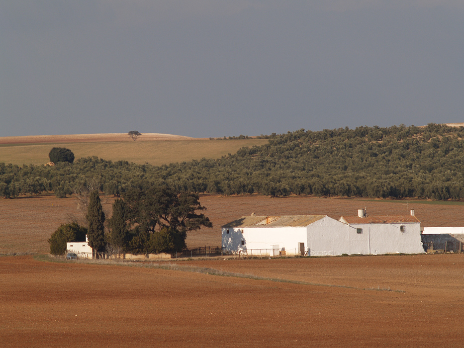 Cortijo