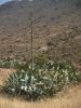 Semi-desertic landscape by Ram?n Palomo