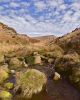 Burbage Brook