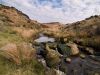 Burbage Brook 2