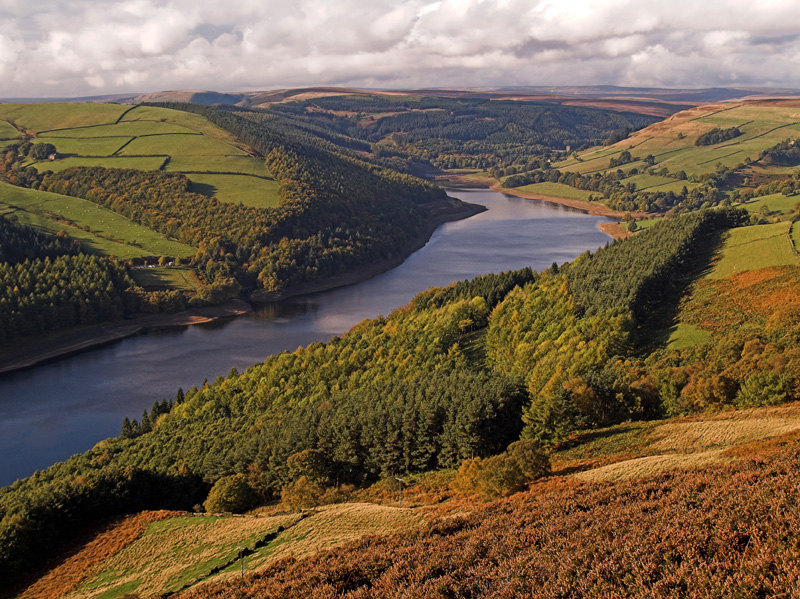 Autumn at Derwent