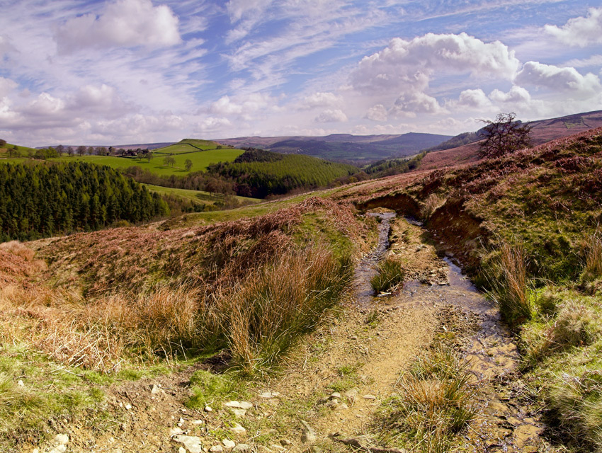 Highlow Moor