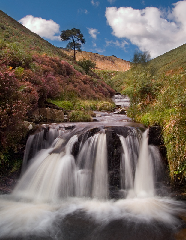 Fair Brook