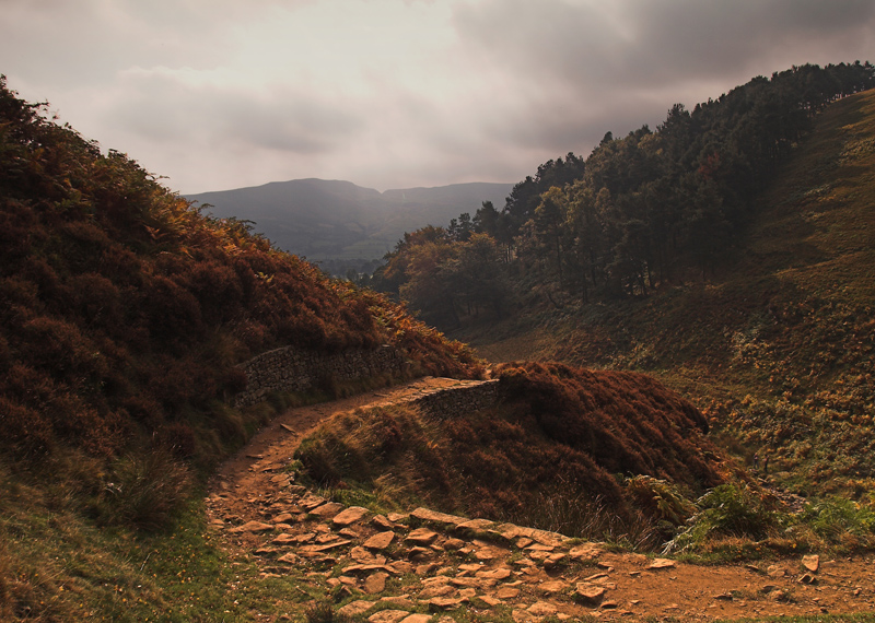 Grindsbrook