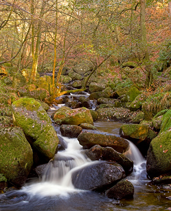 Padley Gorge