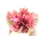 Glass Flower