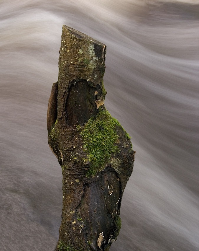 Wooden flow