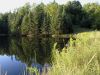 Podunk Pond on summer evening by Peter Betts