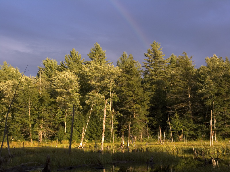 After the storm