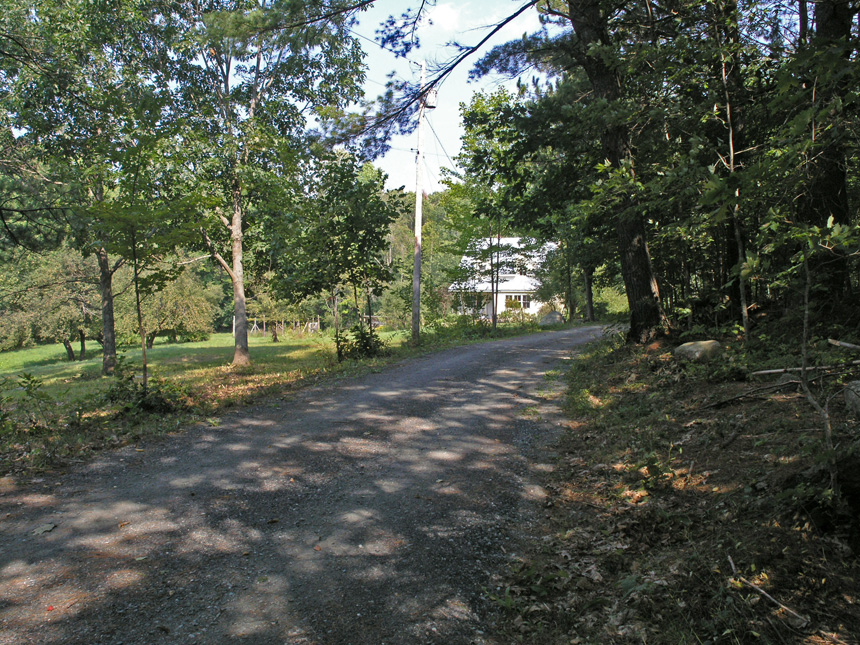 Cyn's Place