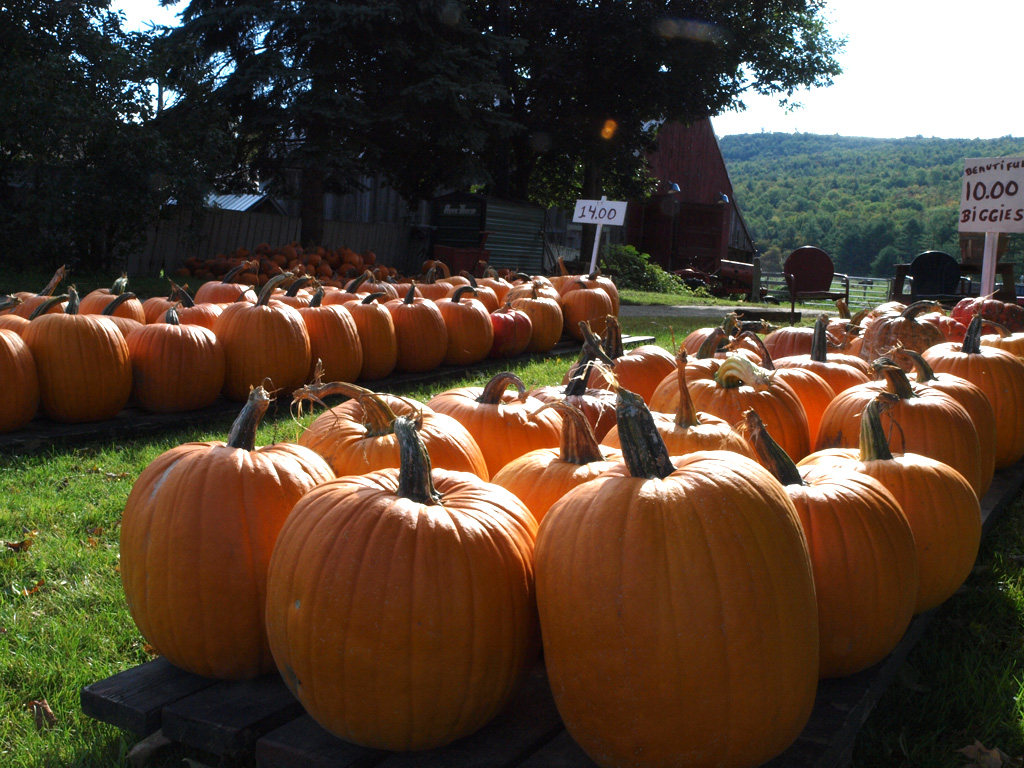 Pumpkins